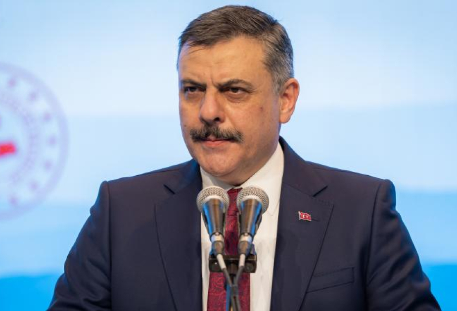 Cari ilin əvvəlindən axtarışda olan 714 şəxs Türkiyəyə təhvil verilib