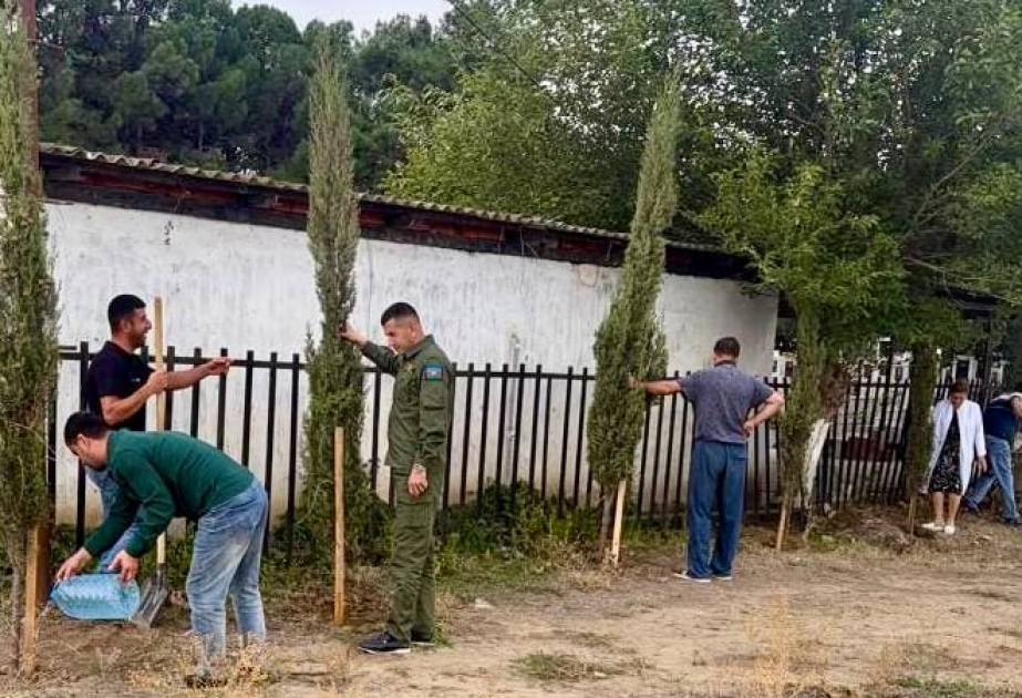 Samuxda şəhidlərin xatirəsinə yeni yaşıllıqlar salınıb
