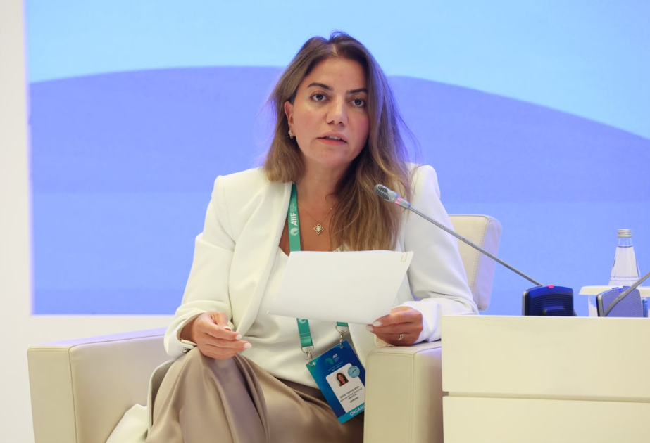 AZPROMO: Azərbaycan uzunmüddətli investisiya üçün tələb olunan bünövrənin gücləndirilməsinə sərmayələr qoyub