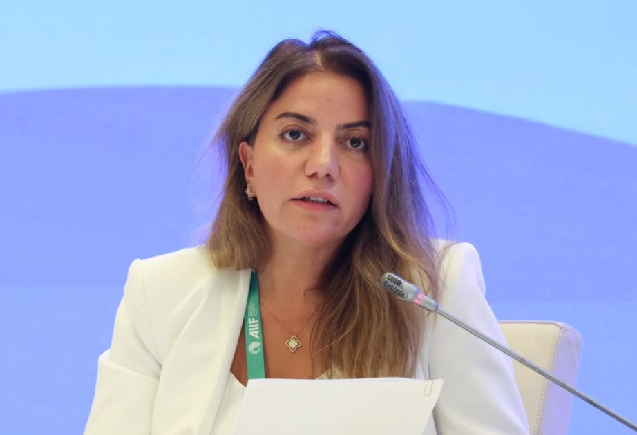 Müşavir: Növbəti addım mövcud üstünlükləri iqtisadiyyat üçün yüksək əlavə dəyərə çevirməkdir