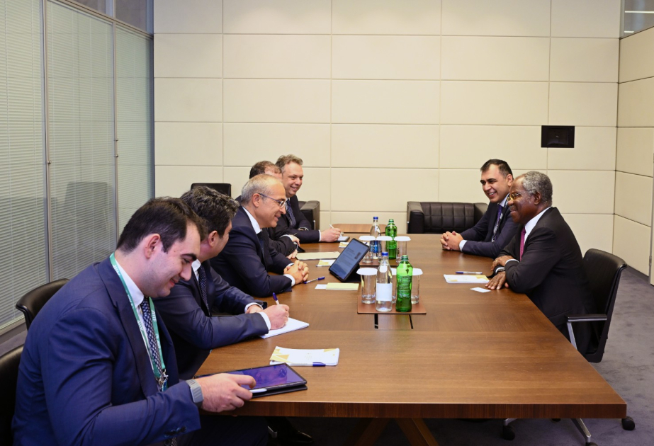 Azərbaycanla “Global Infrastructure Partners”in əməkdaşlığının inkişaf perspektivləri müzakirə olunub