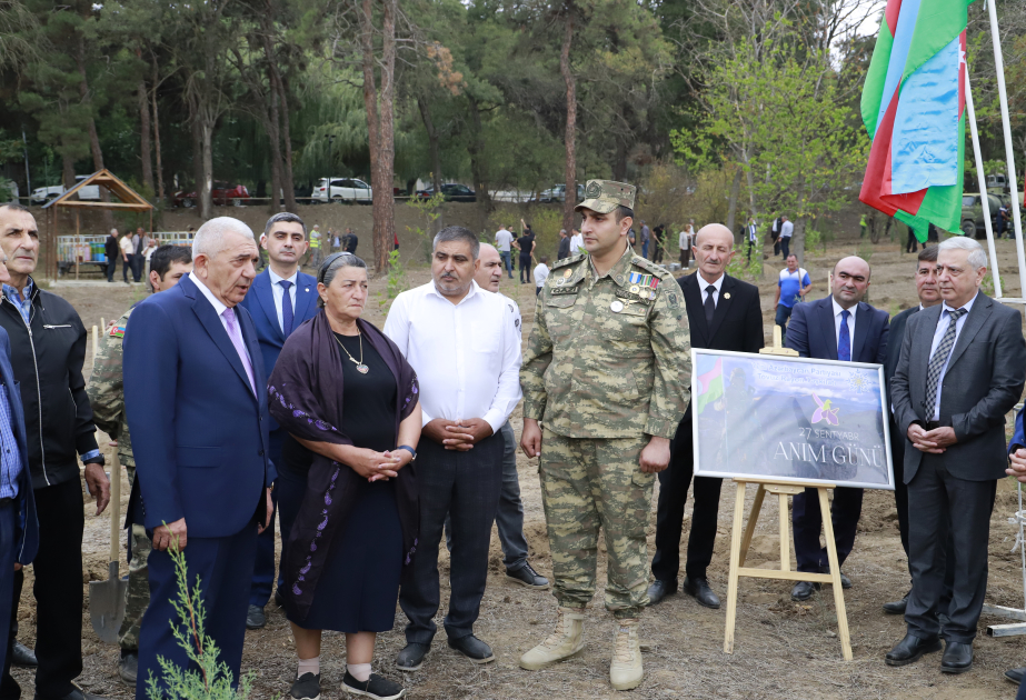 Tovuzda Anım Gününə həsr olunmuş ağacəkmə aksiyası keçirilib