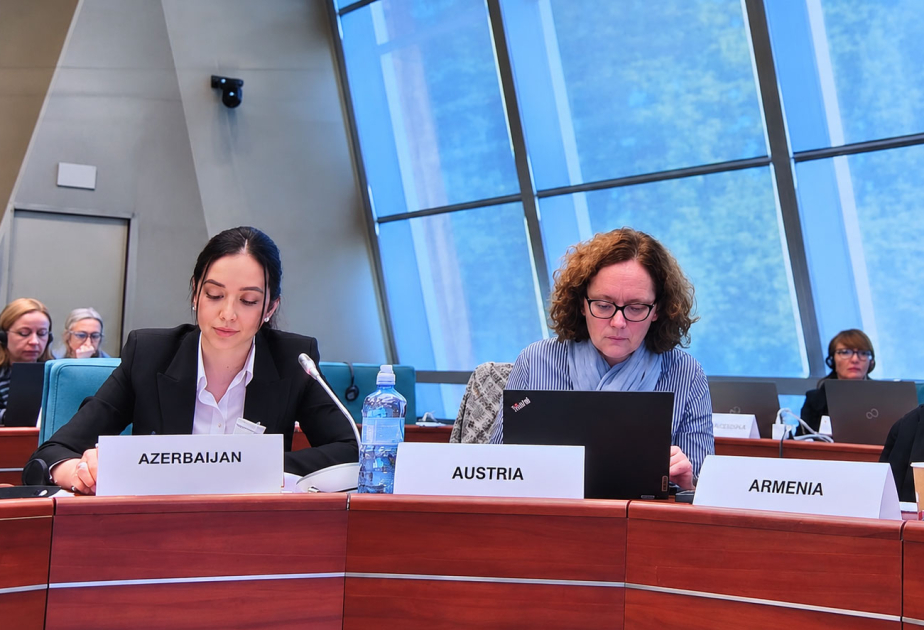 Aserbaidschan bei zehnter Plenarsitzung des Lenkungsausschusses für Bildung des Europarats vertreten