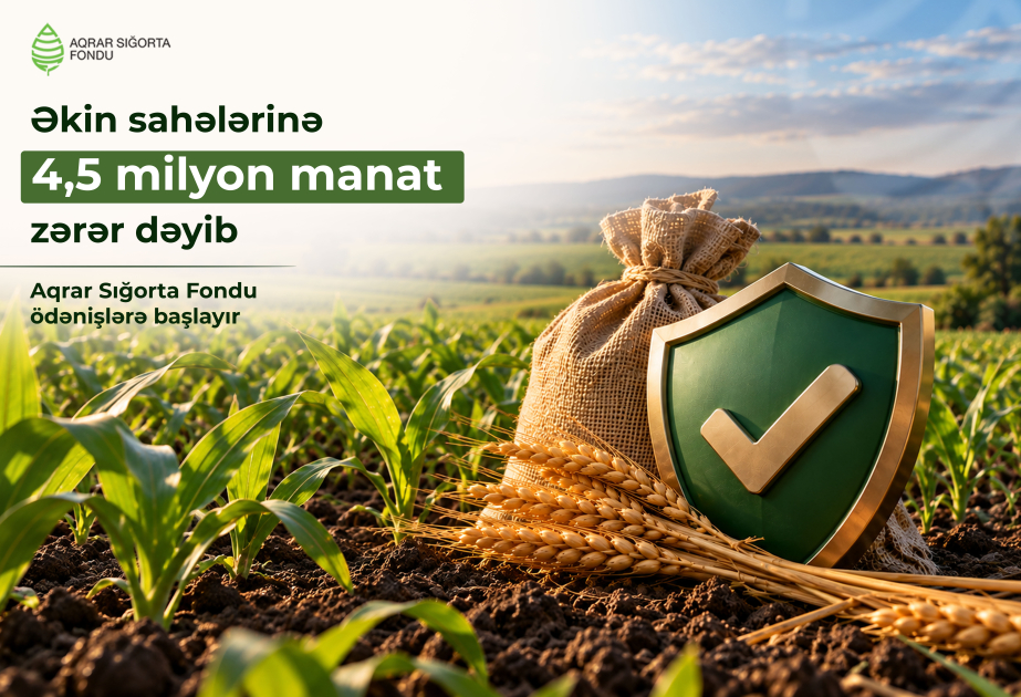 Aqrar Sığorta Fondu əkin sahələrinə dəymiş zərərlər üzrə ödənişlərə başlayır