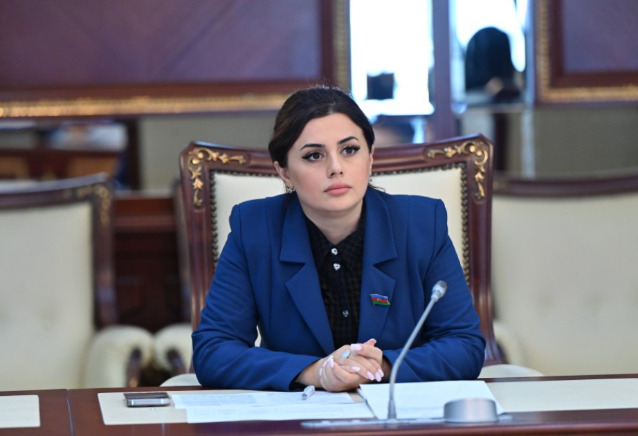 Mövcud potensialı daha çox qeyri-neft sektoruna yönəltmək iqtisadi şaxələndirməni sürətləndirəcək -  ŞƏRH
