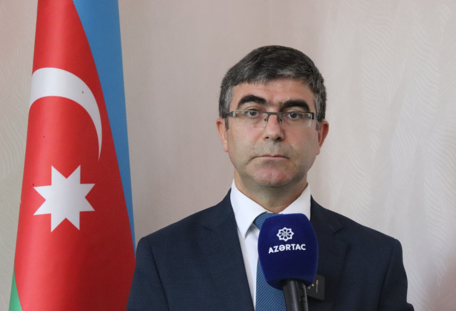 Professor: Tədqiqatların real sektora tətbiqi üçün əlaqələndirici mexanizmlərin gücləndirilməsinə ehtiyac var