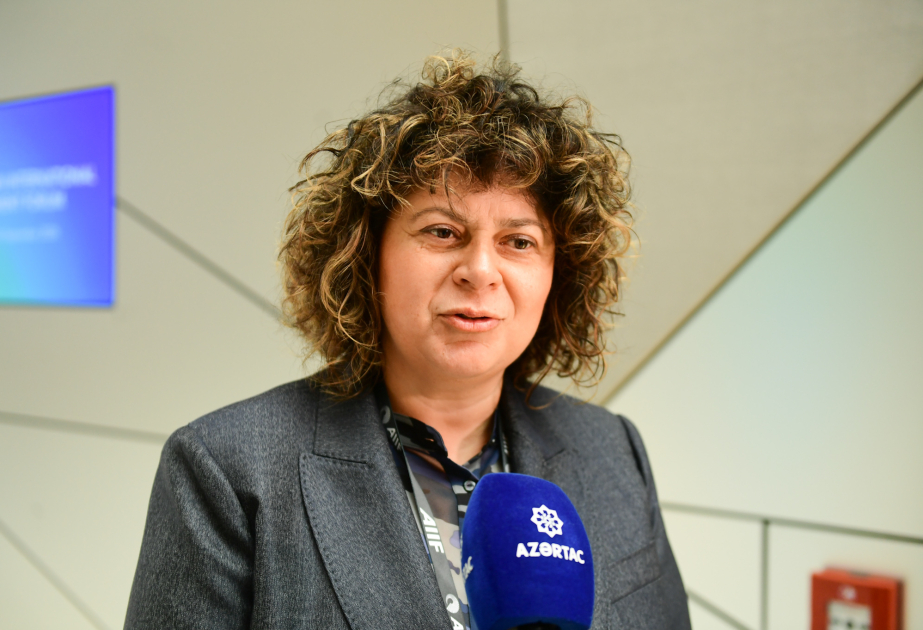 Directora de la Agencia de Inversiones: “Montenegro está interesado en estudiar la experiencia de Azerbaiyán en la gestión de zonas industriales”