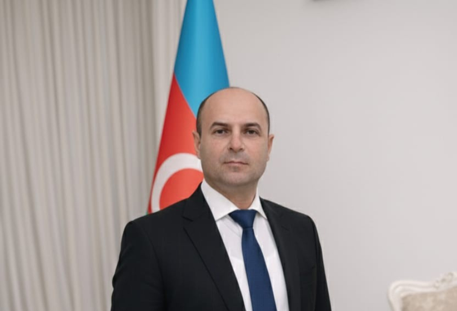Şahlar Şərifov: Nizami yaradıcılığı gənclər üçün mühüm düşüncə mənbəyidir