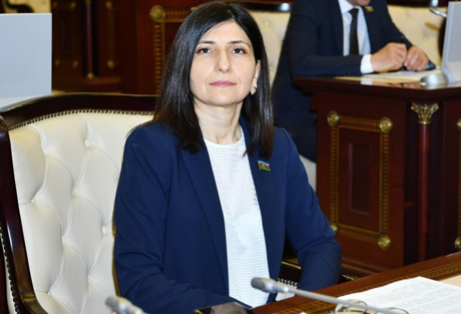 Azərbaycanın iqtisadi inkişafında yeni mərhələ üçün geniş imkanlar formalaşıb -  ŞƏRH