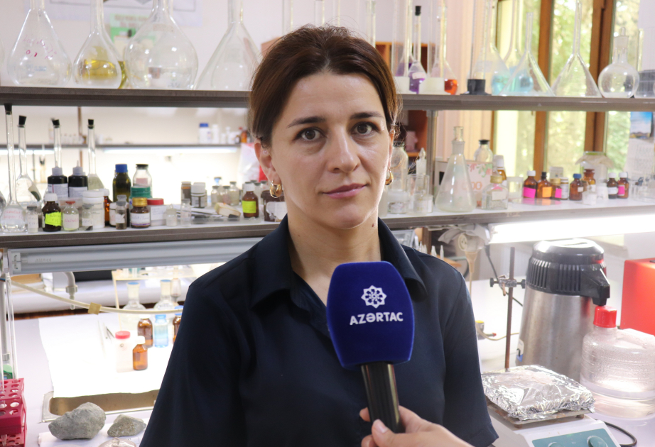 Pərvanə Babayeva: Xarici laboratoriyada işləmək, əslində, xarici təcrübəni öz laboratoriyana gətirməkdir