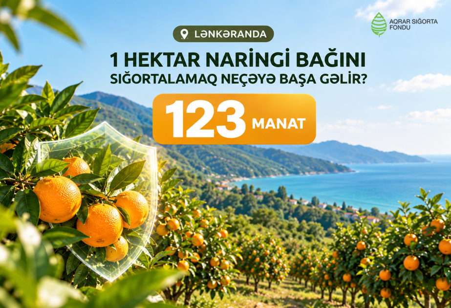 Naringi bağlarının sığortalanması fermerlərin risklərdən qorunmasına imkan verir