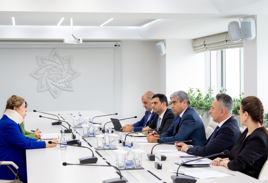 İcbari tibbi sığorta sahəsində ÜST ilə əməkdaşlıq imkanları diqqətdə olub