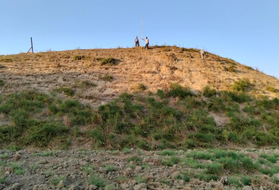 Cəlilabadda qədim yaşayış məskəni tapılıb