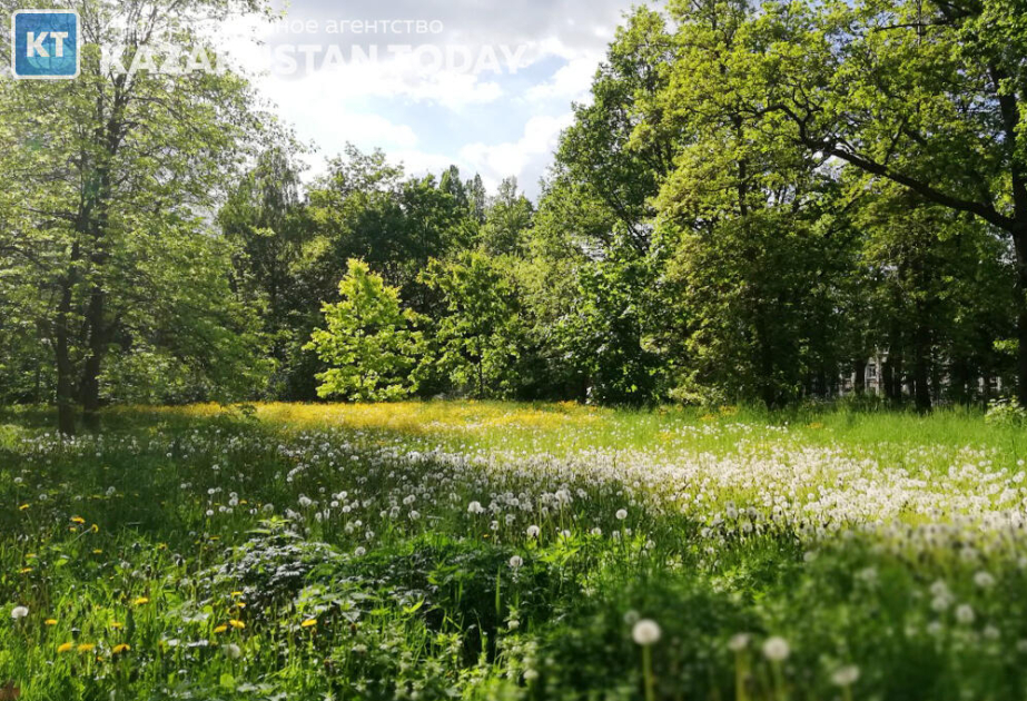 FAO report: Restoring forests and landscapes is critical to meeting global food security and development goals