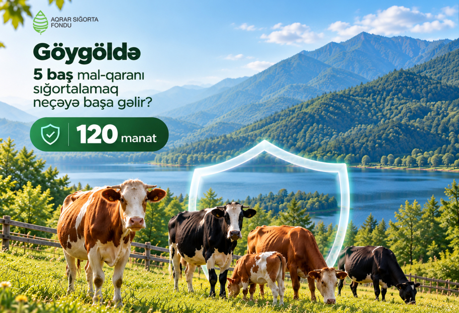 Aqrar Sığorta Fondu: Mal-qaranın sığortalanması fermerləri gözlənilməz maliyyə itkilərindən qoruyur