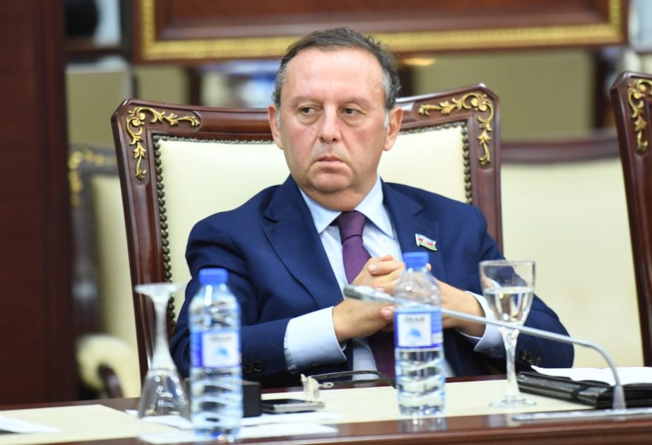 Azərbaycanın müdafiə sənayesində nailiyyətləri hərbi-texniki potensialı gücləndirir –  ŞƏRH