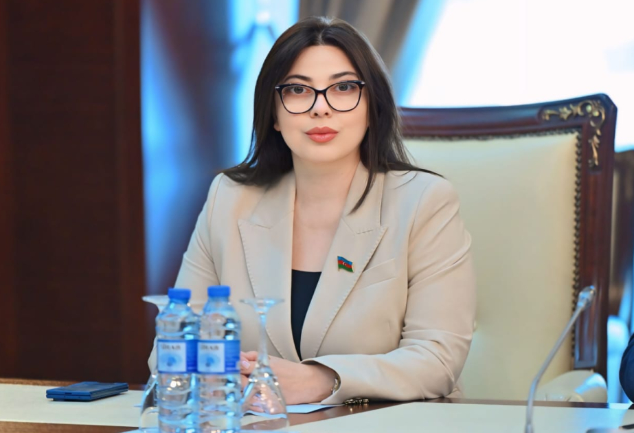 “ADEX 2026”: Azərbaycanın hərbi sənaye potensialının dünyaya təqdimatı –  ŞƏRH