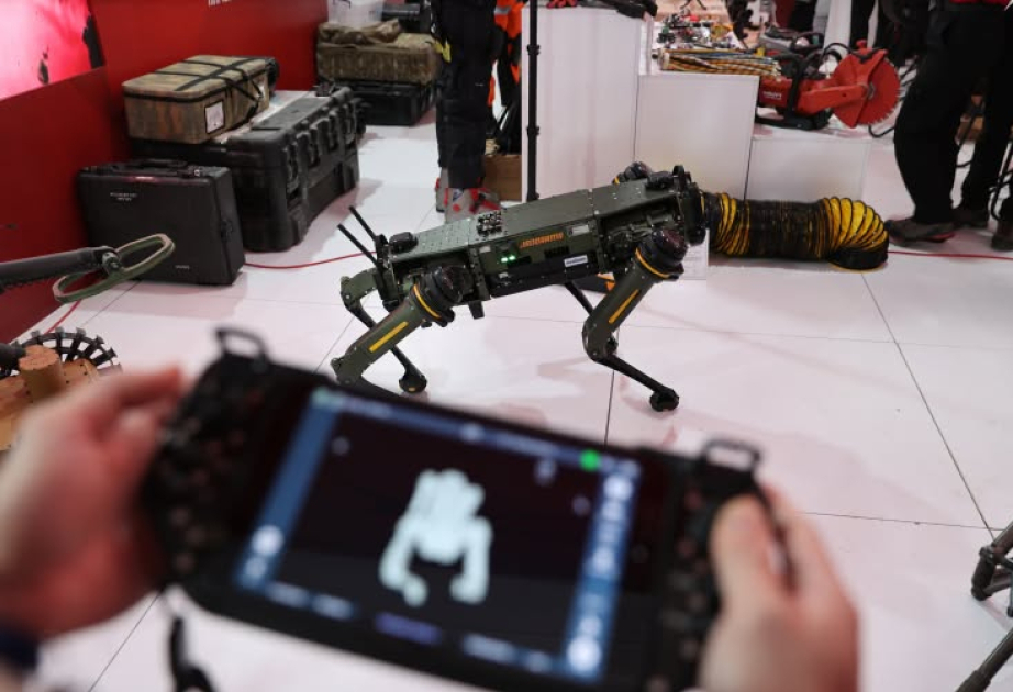 “TEXNOFEST” festivalında məsafədən minatəmizləmə üzrə yerli sistemlər və robotlar təqdim edilib