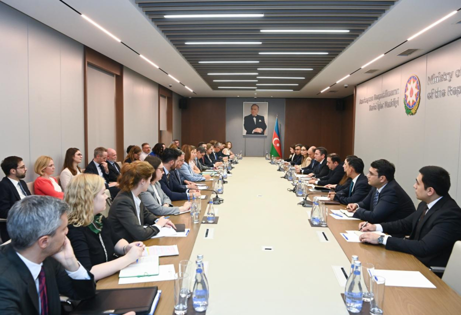 Current state and prospects of Azerbaijan–EU relations discussed