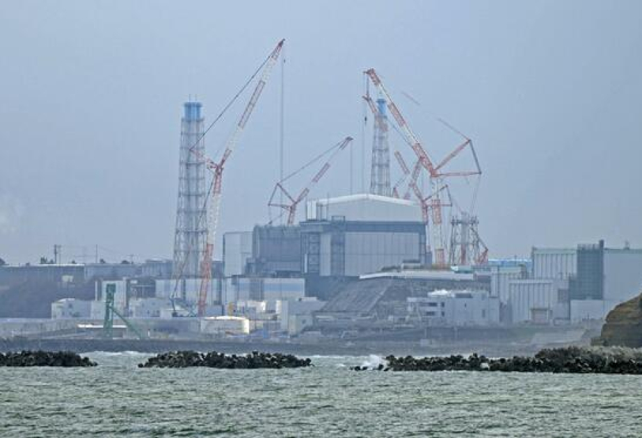 TEPCO begins inserting robot arm to retrieve Fukushima nuke fuel debris