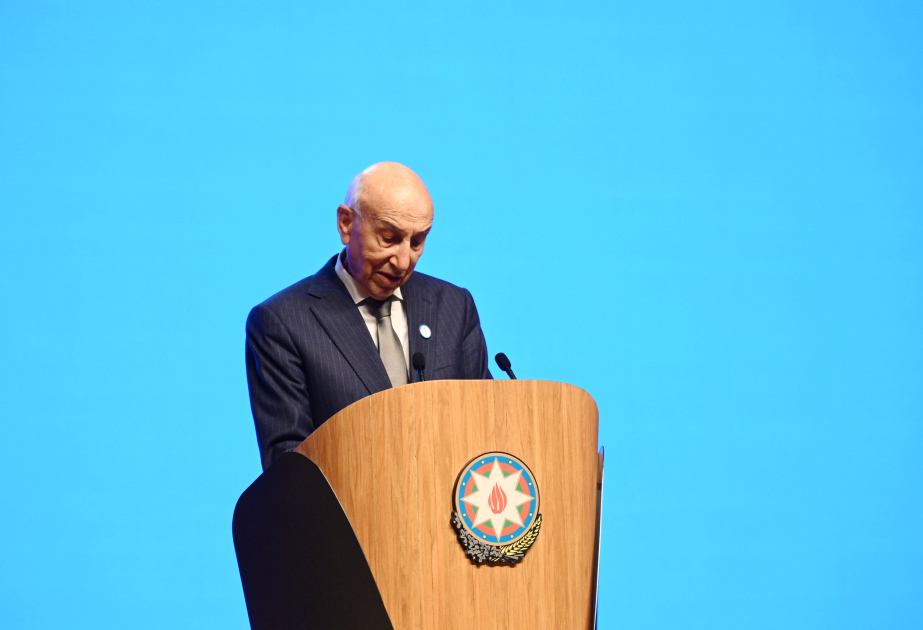 Arif Rəhimzadə: YAP-ın ideoloji əsasını milli dəyərlər və dövlətçilik prinsipləri təşkil edir