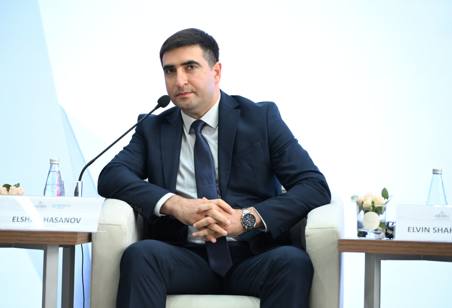 Müdafiə Nazirliyinin nümayəndəsi: Ordumuzun arsenalına daxil olan müasir silahların təhlükəsizliyi üzərində çox ciddi çalışırıq