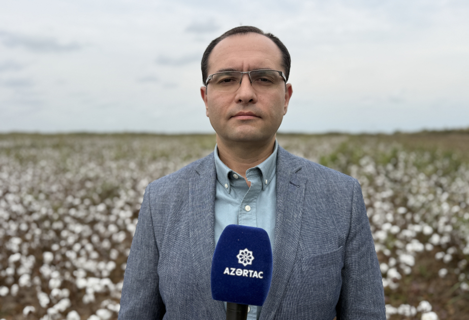 Məcnun Məmmədov: Xırdabuynuzlu heyvandarlıqda subsidiyanın əsas məqsədlərindən biri örüş sahələrinin yaxşılaşdırılmasıdır