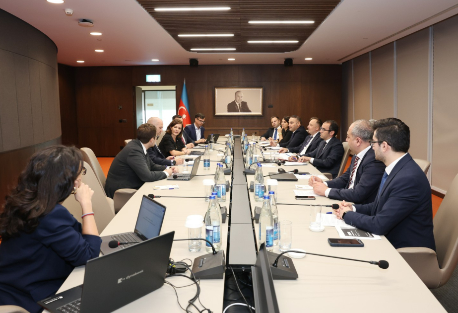 Dünya Bankı ilə “FIN-GROW” layihəsinin əsas istiqamətləri üzrə fikir mübadiləsi aparılıb