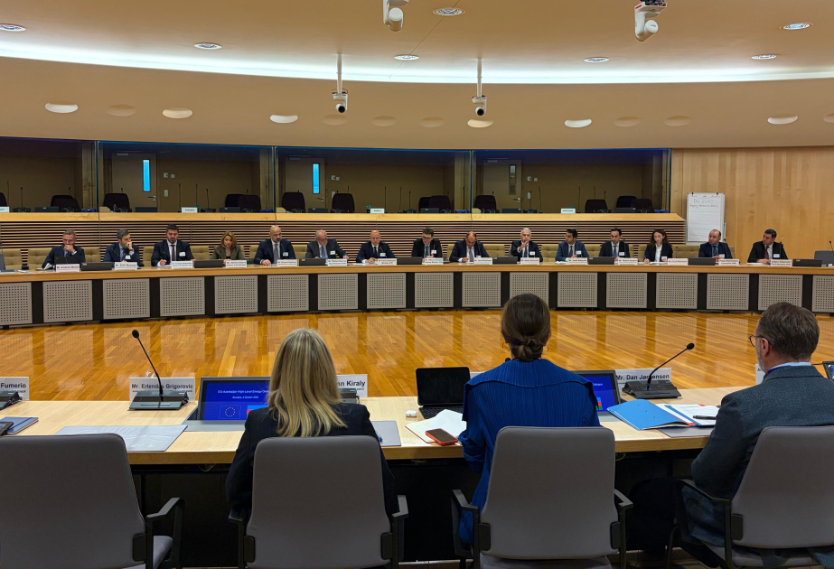 Minister: Azerbaijan supplied 12.8 bcm of gas to Europe last year