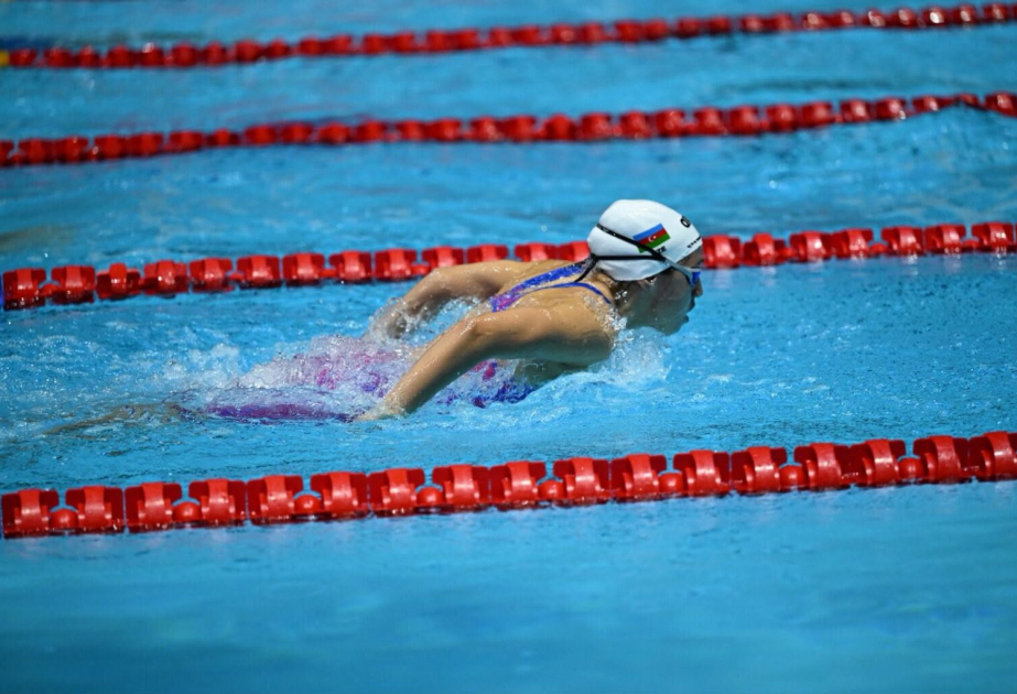 Aserbaidschanische Rekorde beim Schwimm-Weltcup in Baku