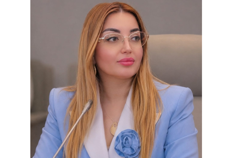 Suverenlikdən sonrakı mərhələ: VIII Qurultay nitqinin strateji hədəfləri və Azərbaycanın yeni güc formulu -  ŞƏRH