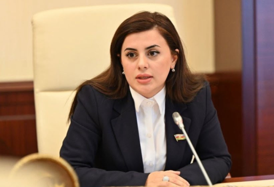 Deputat: Müstəqil siyasət Azərbaycanın beynəlxalq mövqeyini gücləndirir VİDEO