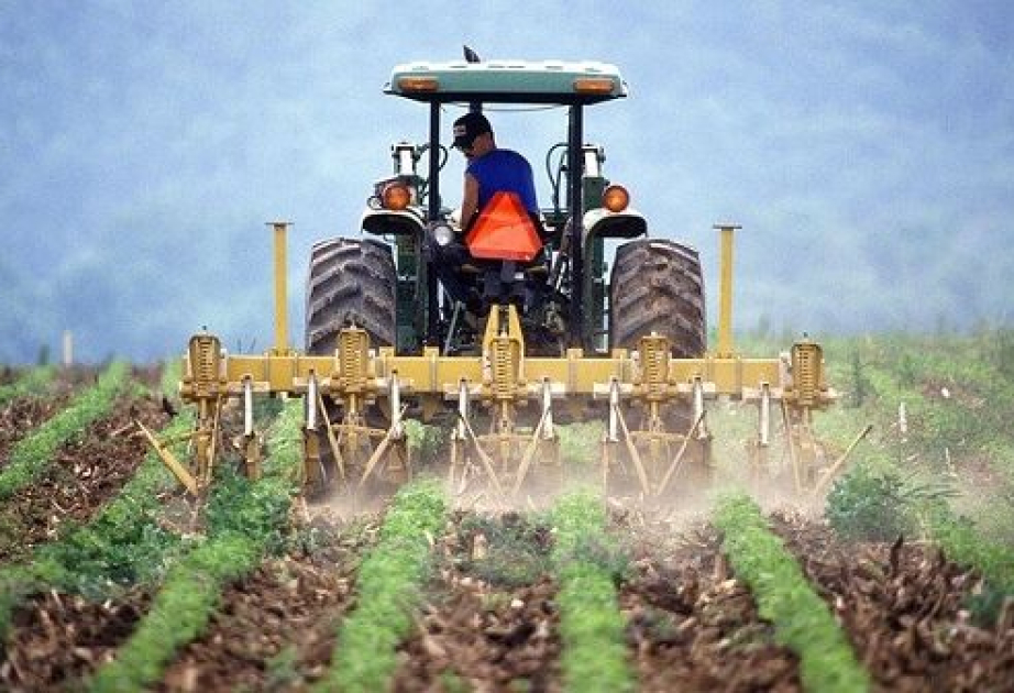 İtaliyada minlərlə fermer etiraz aksiyası keçirib