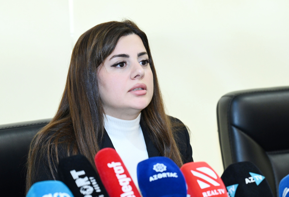 Deputat: Ermənistan işğal dövründə Azərbaycanın 7 filiz və 39 qeyri-filiz yatağında qanunsuz istismar aparıb