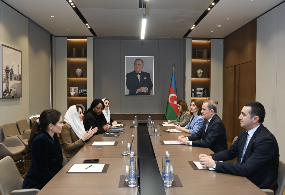 Rəqəmsal Əməkdaşlıq Təşkilatı ilə əməkdaşlıq genişləndirilir