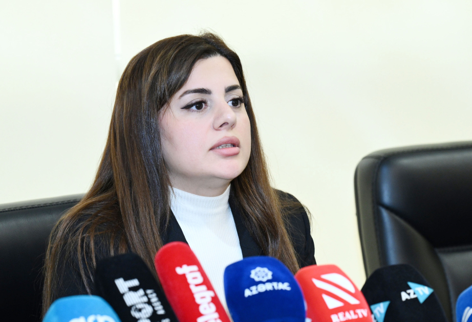 نائبة المجلس الوطني: أرمينيا نهبت موارد أذربيجان المعدنية خلال فترة الاحتلال