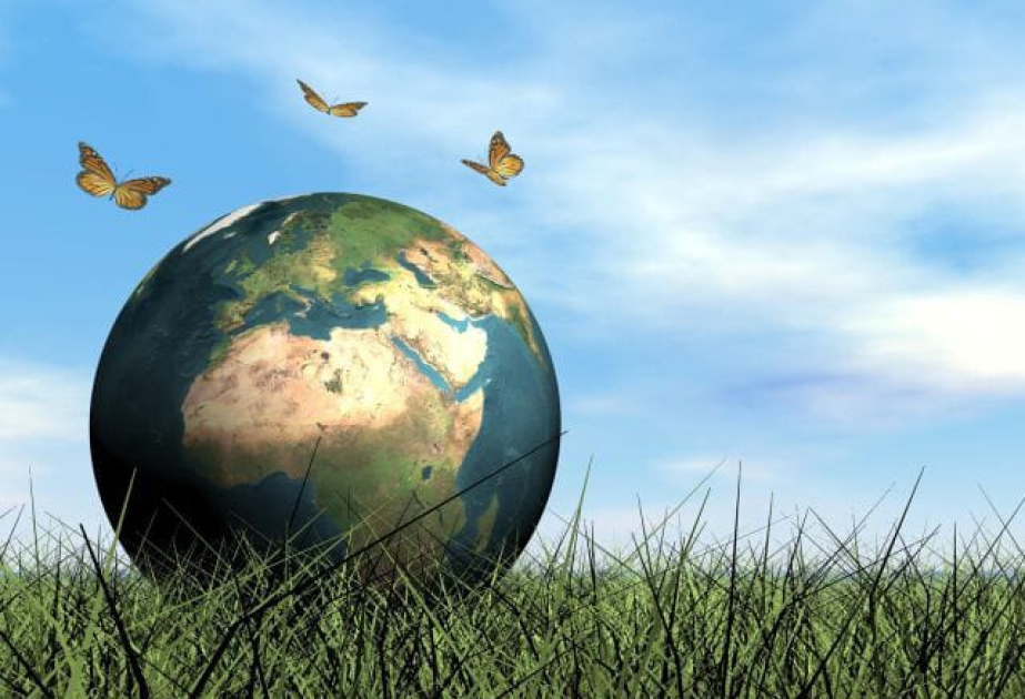 October 6 marks World Habitat Day