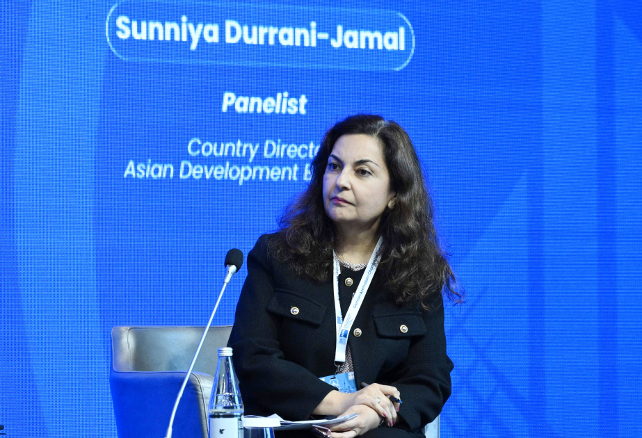 Müəyyən dövlət müəssisələrinin birbaşa özəl kapitala açılması hədəflənir