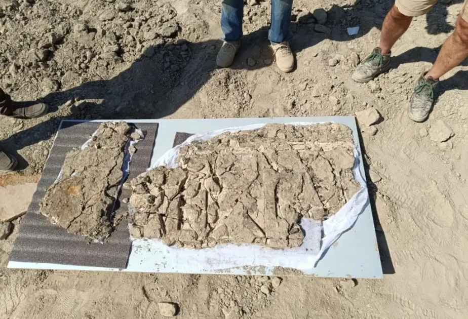 Architectural decorations from the Samanid era discovered