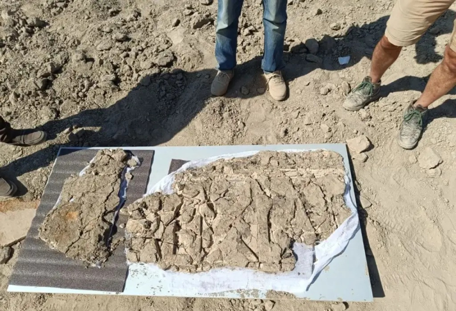 Buxarada Samanilər dövrünə aid məscid bəzəkləri aşkarlanıb