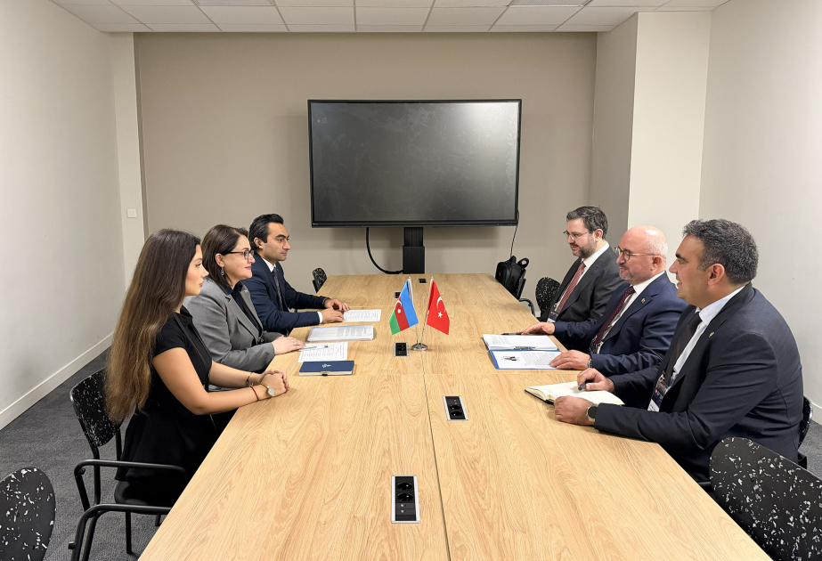 Azerbaijan, Türkiye expand cooperation in standardization