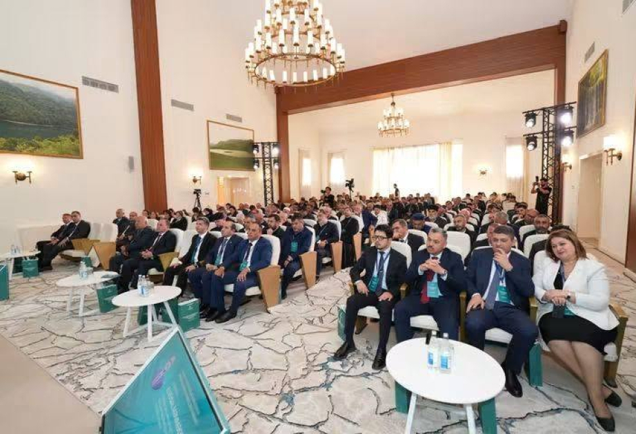 Şərqşünas alim regional konfransda Azərbaycanın birgəyaşayış mədəniyyətinin tarixi əsaslarından danışıb