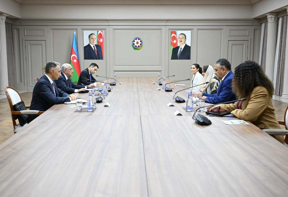 El Primer Ministro de Azerbaiyán se reúne con la Secretaria General de la Organización de Cooperación Digital