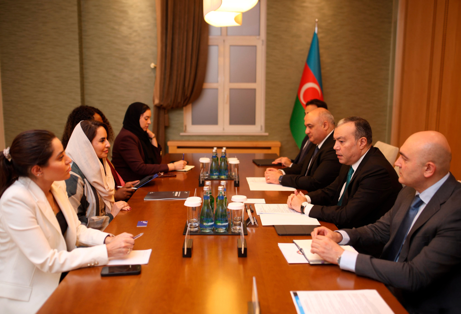 Azerbaijan, DCO discuss digitalization of public finance