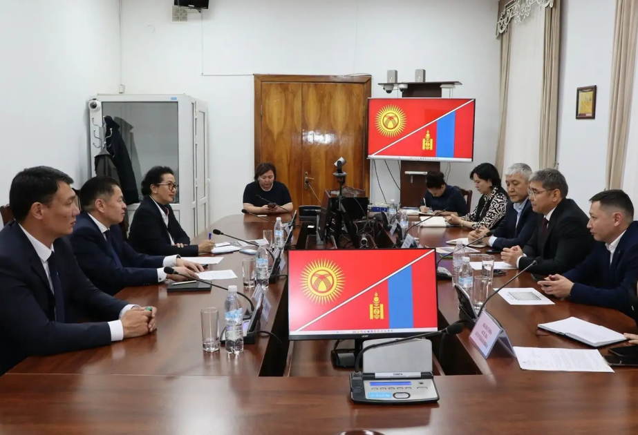 Kyrgyzstan, Mongolia to develop cooperation in pediatric cardiac surgery