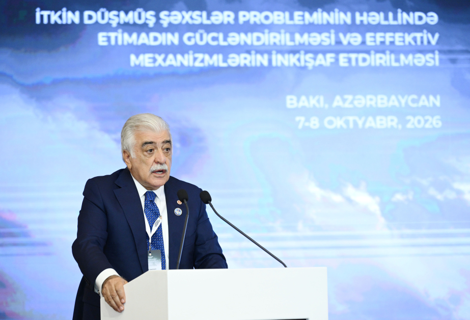 Şamil Ayrım: İtkinlərin taleyinin müəyyənləşdirilməsi siyasi mübahisələrdən kənarda, humanitar məsələ kimi qiymətləndirilməlidir