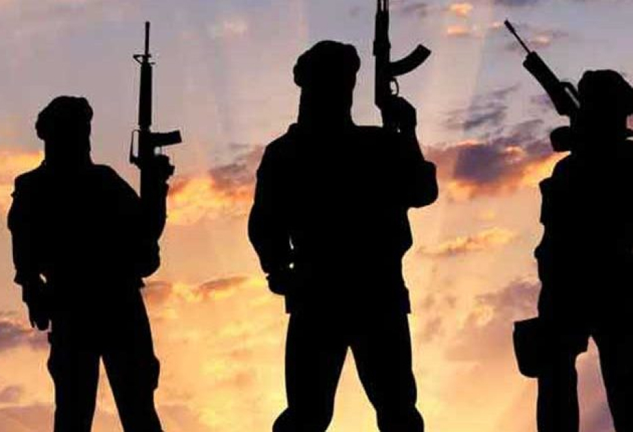 13 terrorists killed in NW Pakistan operation
