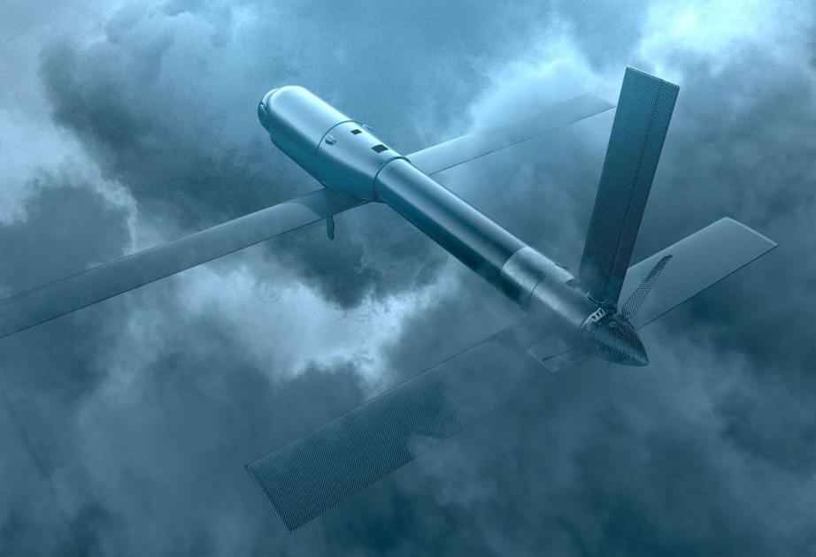 Литовская армия получила первую партию боевых дронов Switchblade 600