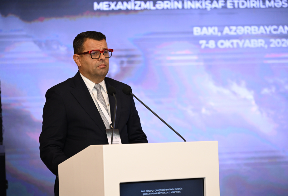 Nazir: Ailənin itkin üzvünün taleyini bilmək hüququ siyasi şəraitdən, sərhədlərdən asılı olmamalıdır