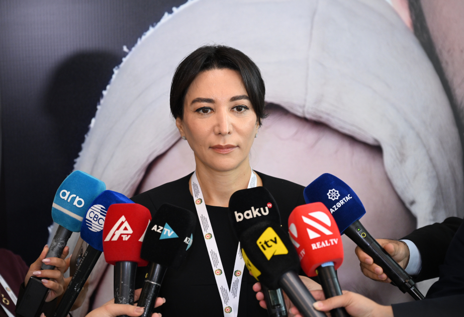 Ombudsfrau: Zahlen bei der IV. Internationalen Konferenz im Baku-Dialog machen große Hoffnung